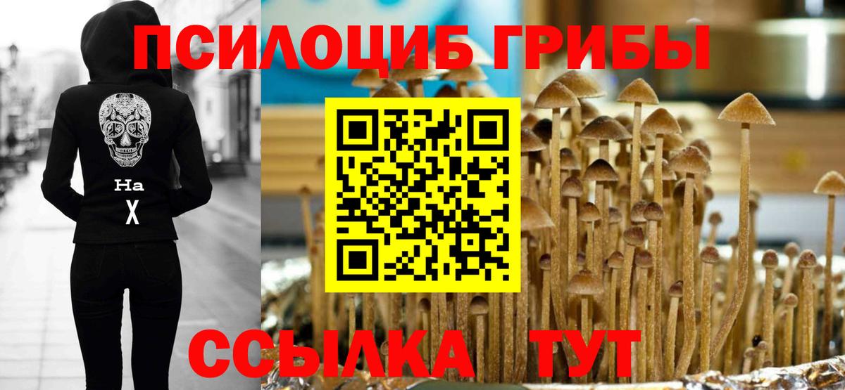 Галлюциногенные грибы прущие грибы  Галлюциногенные грибы мицелий  Вход с VPN  Краснотурьинск 